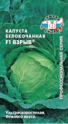 Капуста белокочанная Взрыв F1 (СеДеК)