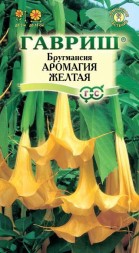 Бругмансия Аромагия Желтая (Гавриш)