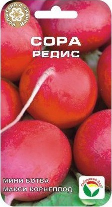 Редис Сора (Сиб Сад) Редис Сора (Сиб Сад)