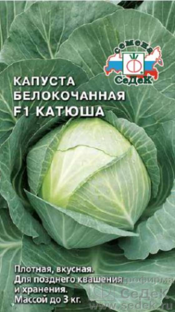Семена Капусты Новатор Купить