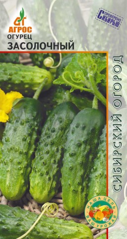 Огурец Засолочный (Агрос)